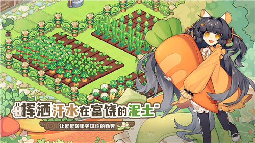 天空岛传说游戏